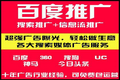 行业领先企业的SEM代理案例剖析